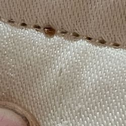 motel 6 - Bed bug
