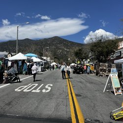 Wistaria Festival - Vendors at wisteria festival