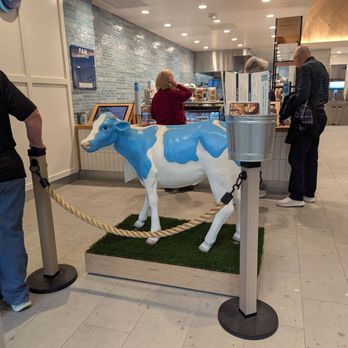 Mendocino Farms - Sandwiches Near Me - Dallas, Texas Mendocino Farms - Sandwiches Near Me - Dallas, Texas
