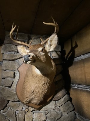 The Escape Game Las Vegas (The Forum Shops) by null