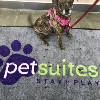 PetSuites Bradenton - Pet Boarding Near Me - Bradenton, Florida
