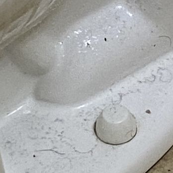 American Auto Stop - This FYUCKING toilet is nasty AF it's all kinds of germs, viruses and bacterial waiting for a host to infect. - Gas Stations Near Me - North Stonington, Connecticut American Auto Stop - This FYUCKING toilet is nasty AF it's all kinds of germs, viruses and bacterial waiting for a host to infect. - Gas Stations Near Me - North Stonington, Connecticut