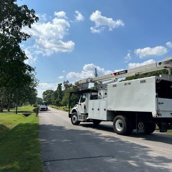 JB Tree Service - Tree Services Near Me - La Vergne, Tennessee JB Tree Service - Tree Services Near Me - La Vergne, Tennessee