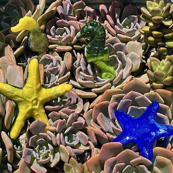 Harbor City Art - Glass art that I made! - Art Classes Near Me - Melbourne, Florida Harbor City Art - Glass art that I made! - Art Classes Near Me - Melbourne, Florida
