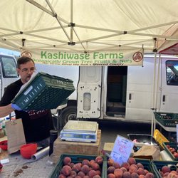 Kashiwase Farms - Stand
