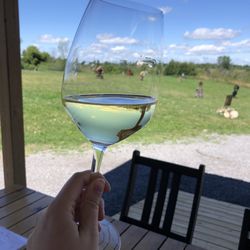 Norman Hardie - Glass of Riesling