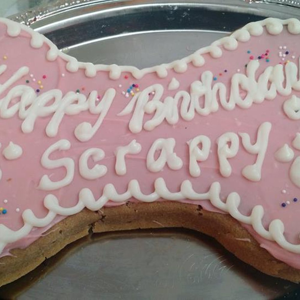 Scrappy's bone shaped cake! Scrappy's bone shaped cake!