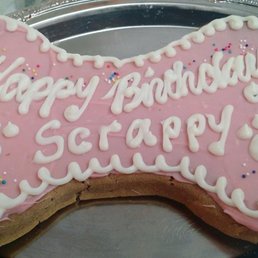Scrappy's bone shaped cake! Scrappy's bone shaped cake!