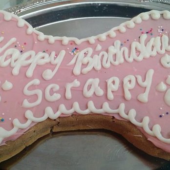 The Dining Dog - Scrappy's bone shaped cake! - Pet Services Near Me The Dining Dog - Scrappy's bone shaped cake! - Pet Services Near Me