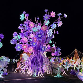 LuminoCity Festival - Festivals Near Me - Gaithersburg, Maryland LuminoCity Festival - Festivals Near Me - Gaithersburg, Maryland