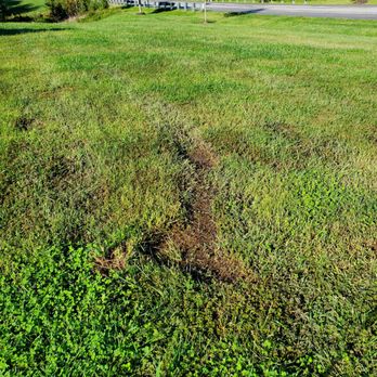 Yard Scaping Services - Gouges in front yard looking from the driveway. - Landscaping Near Me