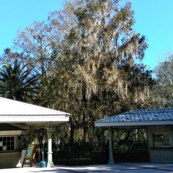 Silver Springs State Park - I realized they have some of the tallest trees! - Parks Near Me - Ocala, Florida Silver Springs State Park - I realized they have some of the tallest trees! - Parks Near Me - Ocala, Florida