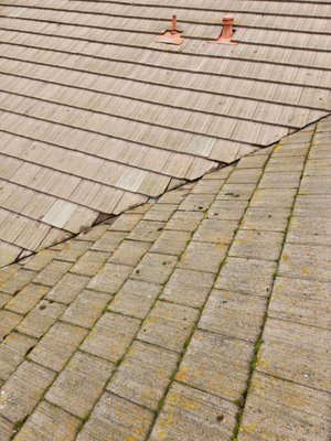 Action Roofing Service Logo