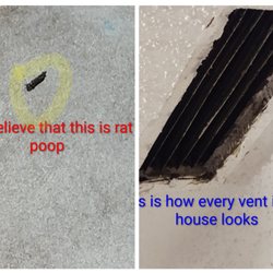 Housing Authority New Orleans - Rat dropping, filthy AC vent . Same unit #2