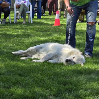 Big Run Wolf Ranch - Education Near Me - Lockport, Illinois