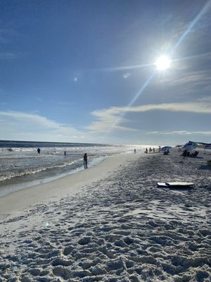 Grayton Beach State Park by null