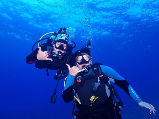 Maui Dreams Dive Co by null