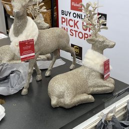 Beautiful reindeer