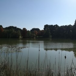 Parc des Gayeulles - Début de l'automne