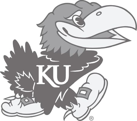 University of Kansas by null