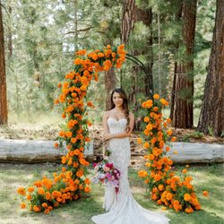Helianthus Floral Design