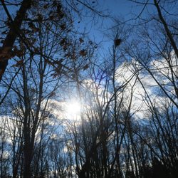 Salem Woods Highland Park