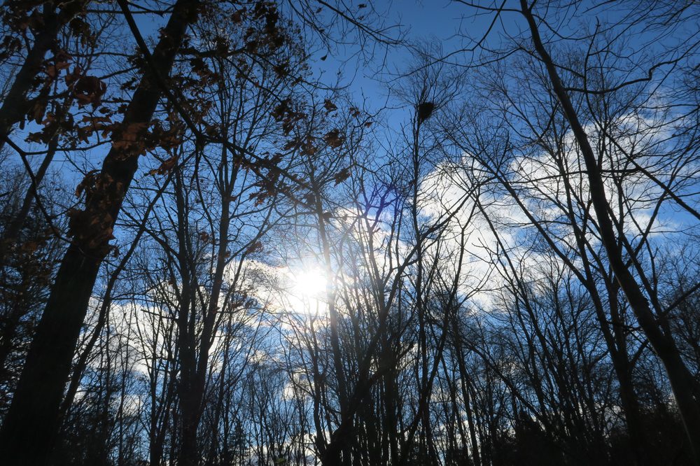 Salem Woods Highland Park Image
