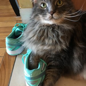 under armor vaughan mills