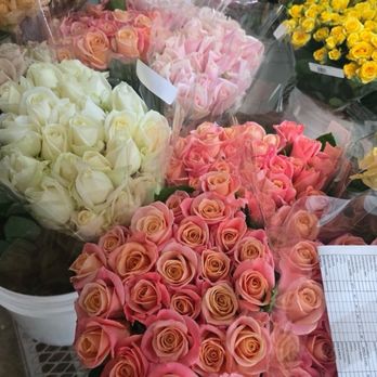 Eufloria Flowers - Long stem roses 50 for $45 - Florists Near Me - Nipomo, California Eufloria Flowers - Long stem roses 50 for $45 - Florists Near Me - Nipomo, California