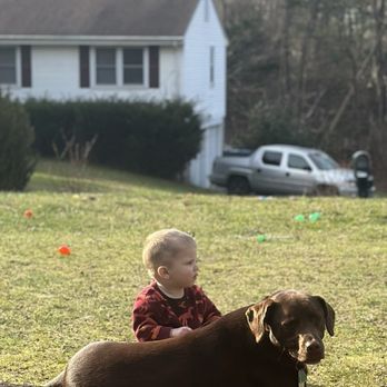 Bark and Soul Dog - Calm around little ones!!! - Pet Training Near Me - Connecticut, Connecticut