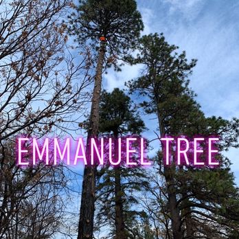 Emmanuel Tree - Tree Services Near Me - South Houston, Texas Emmanuel Tree - Tree Services Near Me - South Houston, Texas