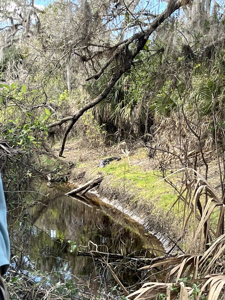 Venice Myakka River Park Image