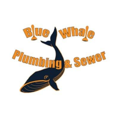 Slide of Blue Whale Backflow, Plumbing, & Excavating