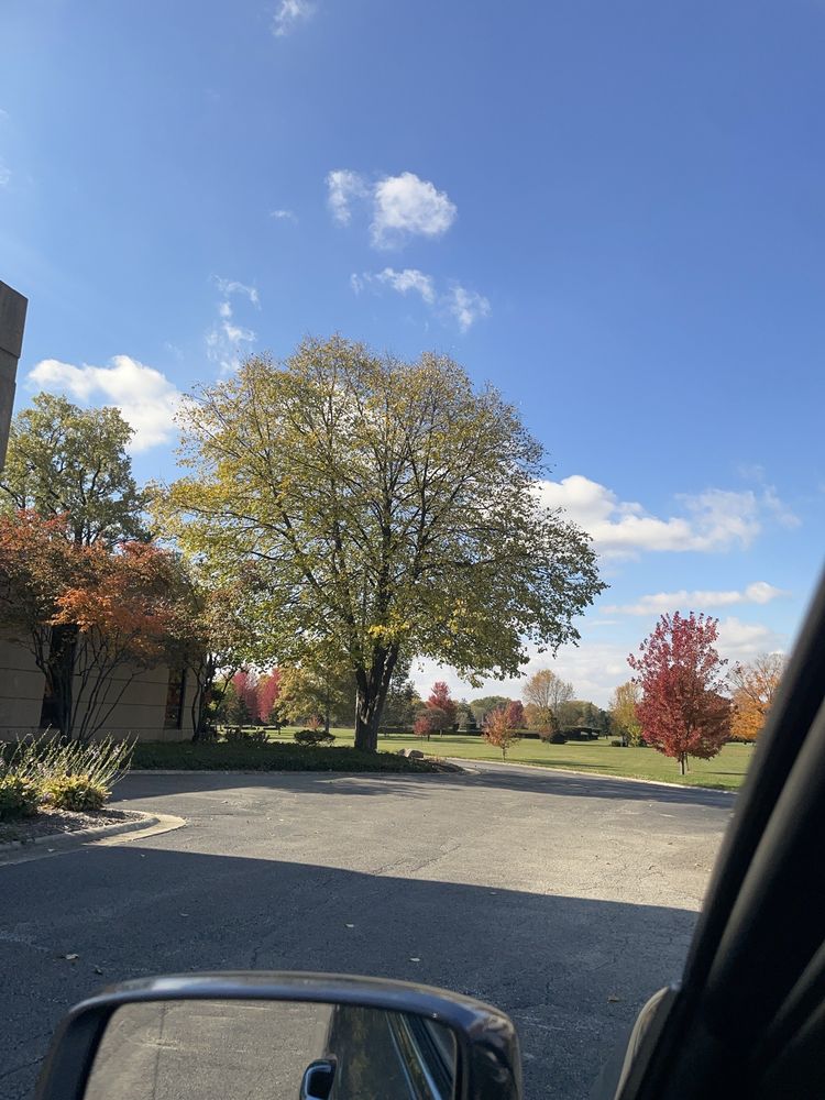 Memory Gardens Cemetery - veterans service organization in Arlington Heights, IL