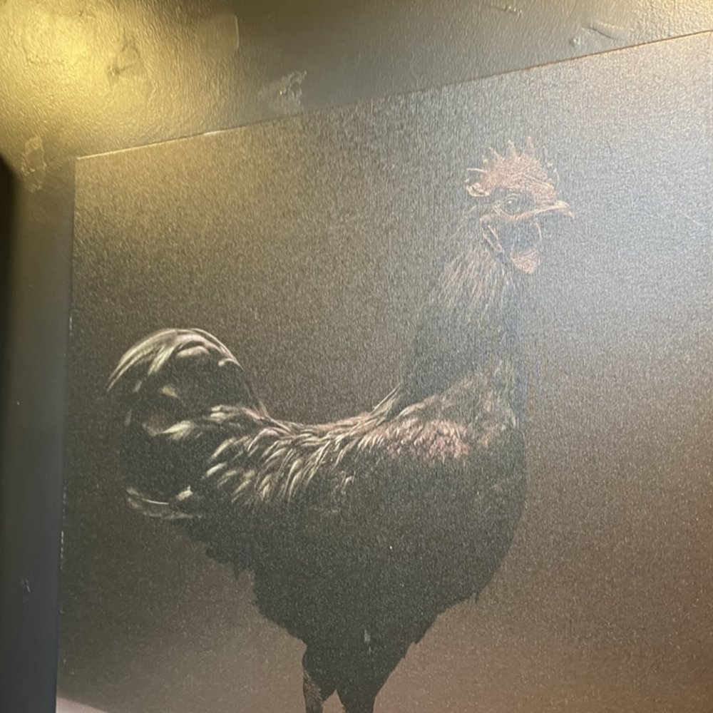 Black Rooster Bistro - Black Rooster...The name backstory is very interesting. - Wine Bars Near Me - Hudson, Wisconsin Black Rooster Bistro - Black Rooster...The name backstory is very interesting. - Wine Bars Near Me - Hudson, Wisconsin