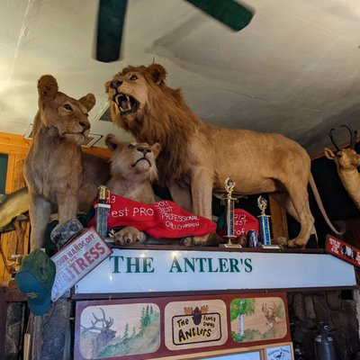 Antlers Restaurant by null
