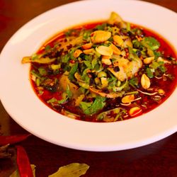 Mr Liu Noodle House - Sliced Beef Shank&Tripe in Chili Sause  特色夫妻肺片         Popular