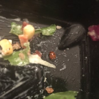 Chick-fil-A - Dead lady bug in my salad! Gross!!! - Fast Food Near Me - Peachtree City, Georgia