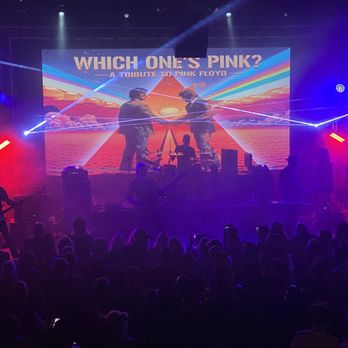 Garden Amp - Which Ones Pink? From the top row. There is not a bad seat in the house. - Music Venues Near Me - Garden Grove, California Garden Amp - Which Ones Pink? From the top row. There is not a bad seat in the house. - Music Venues Near Me - Garden Grove, California