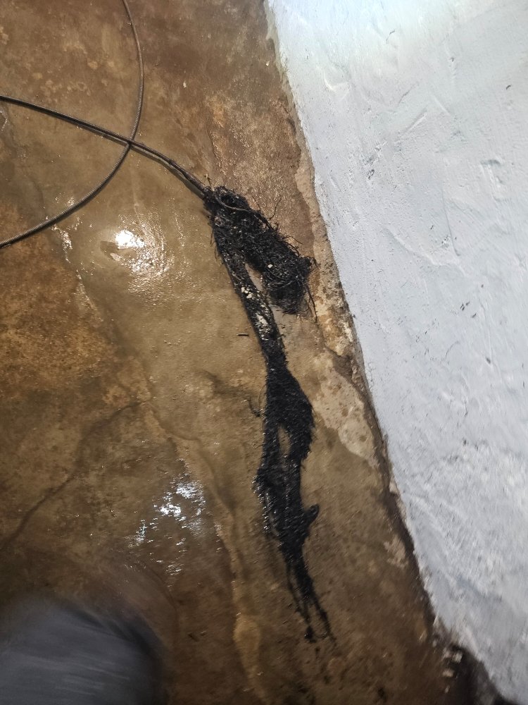 Slide of Frank Rooter