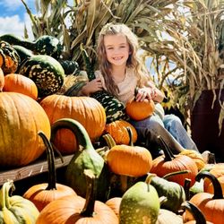 Glen Ray's Corn Maze