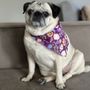 Photo of All Star Pet Grooming
