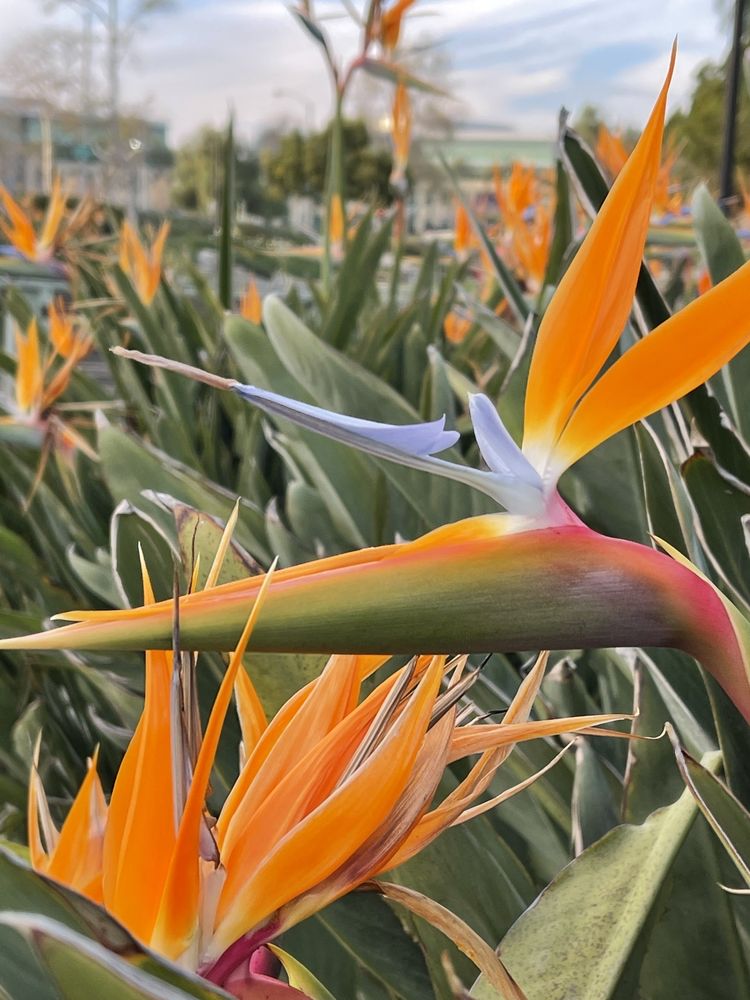 Social spots from Riverwalk Parkway