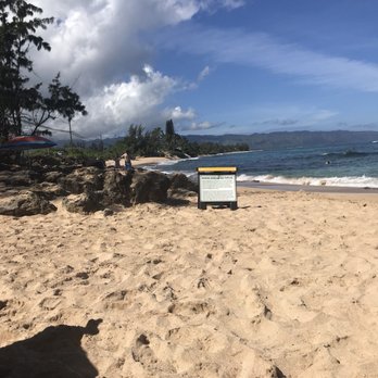 Laniakea Beach - Beaches Near Me - Haleiwa, Hawaii Laniakea Beach - Beaches Near Me - Haleiwa, Hawaii