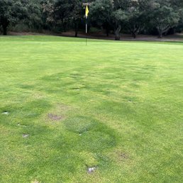 Condition of the putting green on hole 2 Condition of the putting green on hole 2