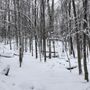 Photo of Dewey Mountain Recreation Area