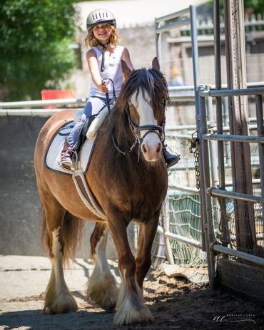 Gypsy Heart Horsemanship Logo