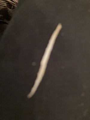 Brooklyn Cafe by null