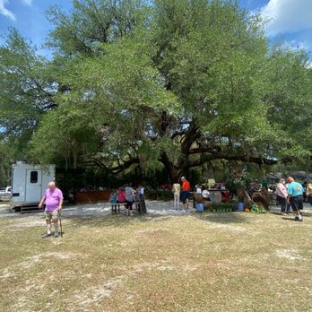 Bountiful Farms Bistro - Incredible Southern Oak - Farmers Market Near Me - Okahumpka, Florida Bountiful Farms Bistro - Incredible Southern Oak - Farmers Market Near Me - Okahumpka, Florida