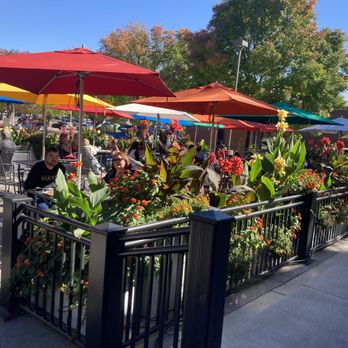 La Buena Vida - Mexican Near Me - Fort Collins, Colorado